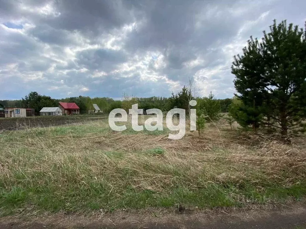 Участок в Новосибирская область, Ордынский район, д. Ерестная Боровая ... - Фото 1