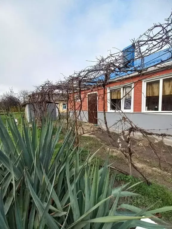 Дом в Краснодарский край, Новокубанск ул. Воровского (60 м) - Фото 2