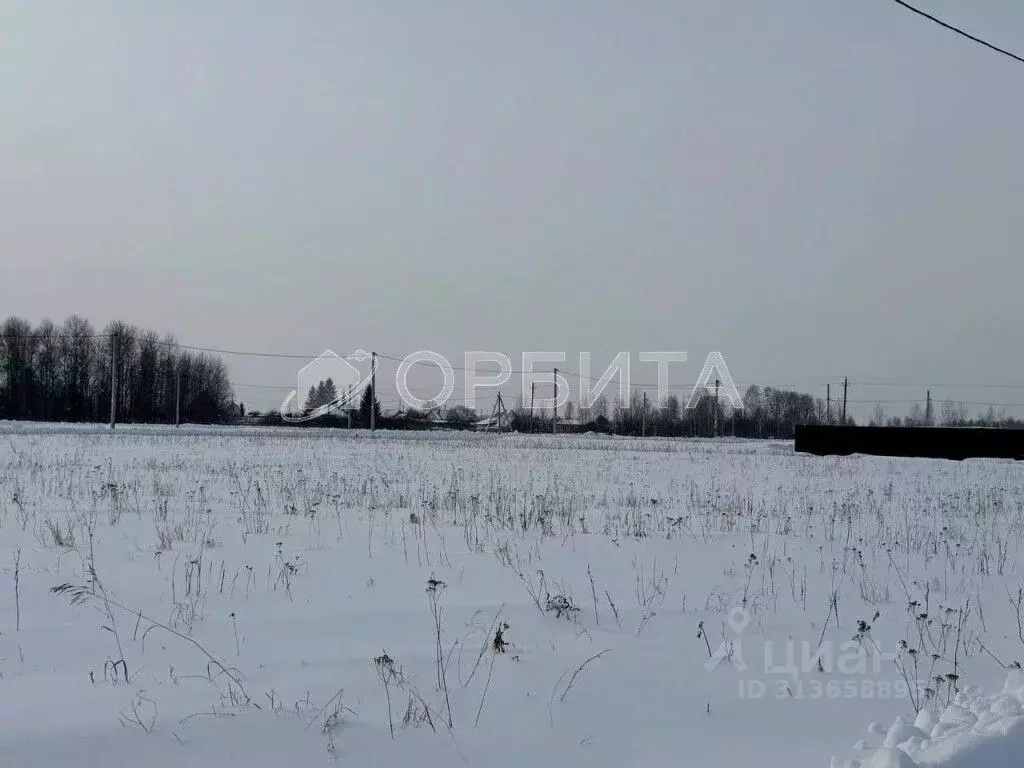 Участок в Тюменская область, Тюменский район, с. Богандинское  (7.5 ... - Фото 1