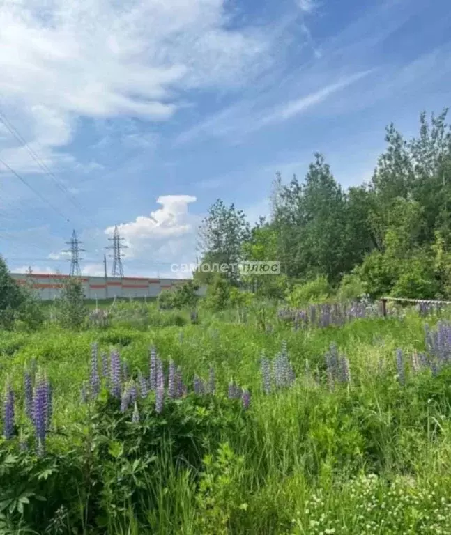 Участок в Московская область, Электросталь  (6.0 сот.) - Фото 0