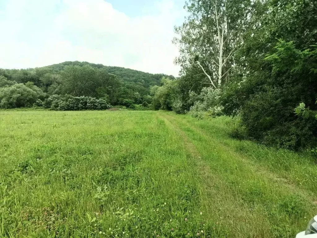 Участок в Краснодарский край, Геленджик городской округ, с. Пшада  ... - Фото 1