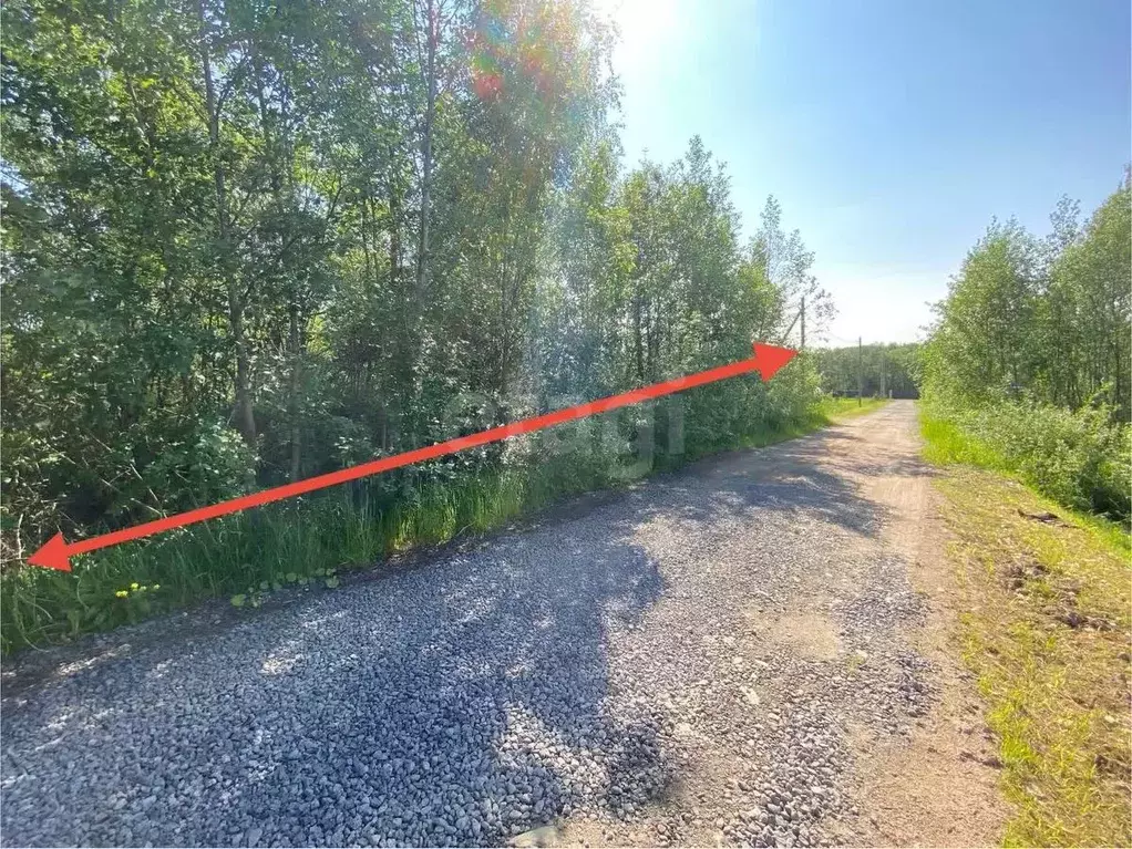 Участок в Ленинградская область, Киришский район, Пчевжинское с/пос, ... - Фото 2