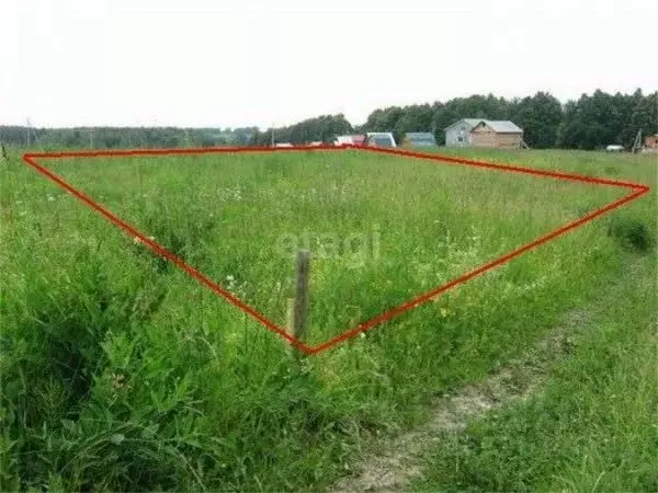 Участок в Оренбургская область, Соль-Илецк пер. Усадебный, 8 (15.1 ... - Фото 1