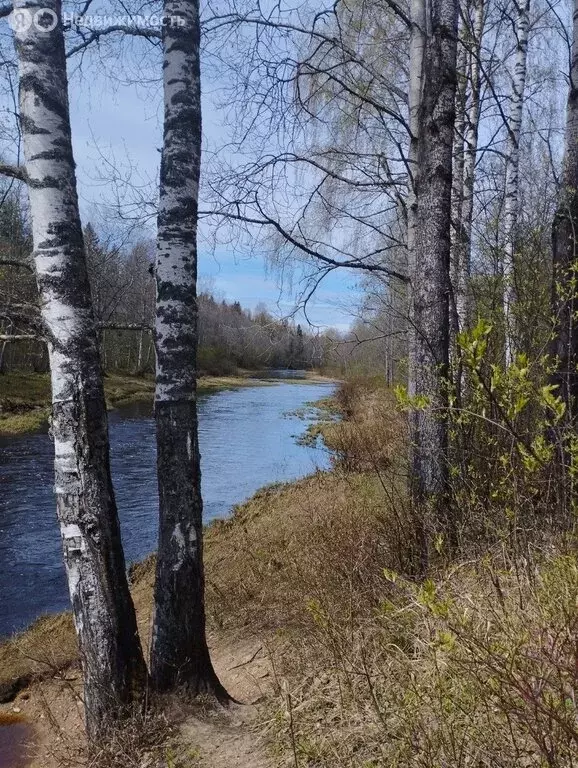 Дом в Вологодская область, Череповецкий муниципальный округ, ... - Фото 1
