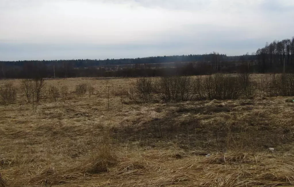 Участок в Калужская область, Мещовск городское поселение, д. ... - Фото 0