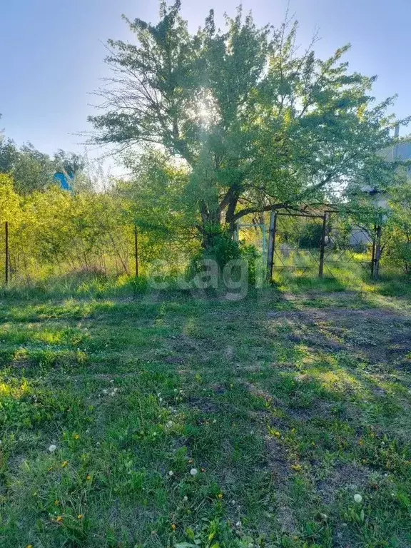 Участок 4 сот. (СНТ, ДНП) - Фото 0