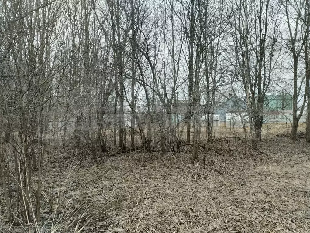 Участок 11,5 сот. (СНТ, ДНП) - Фото 0