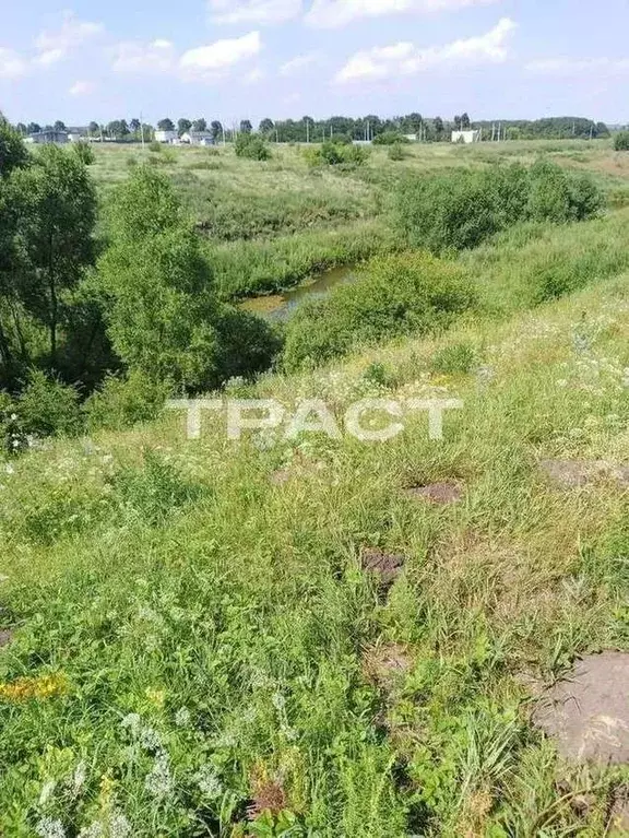 Участок в Воронежская область, Семилукский район, с. Девица  (10.1 ... - Фото 1