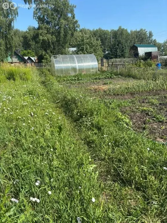 Участок в Барышевский сельсовет, некоммерческое садоводческое ... - Фото 1