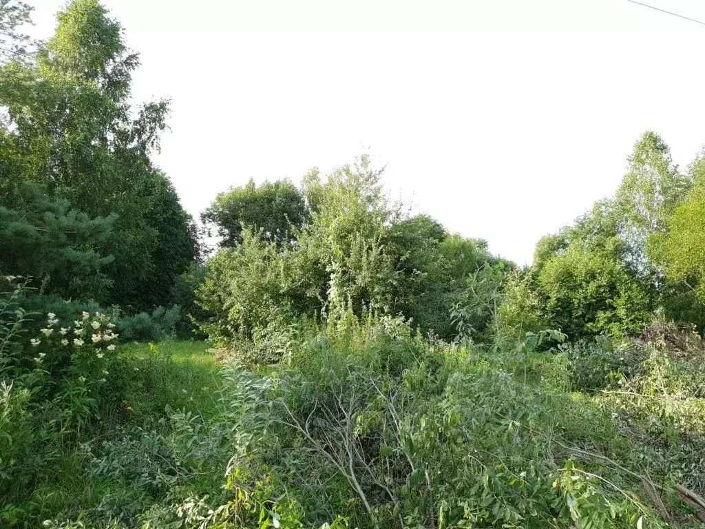 Участок в Московская область, Шаховская муниципальный округ, д. ... - Фото 1