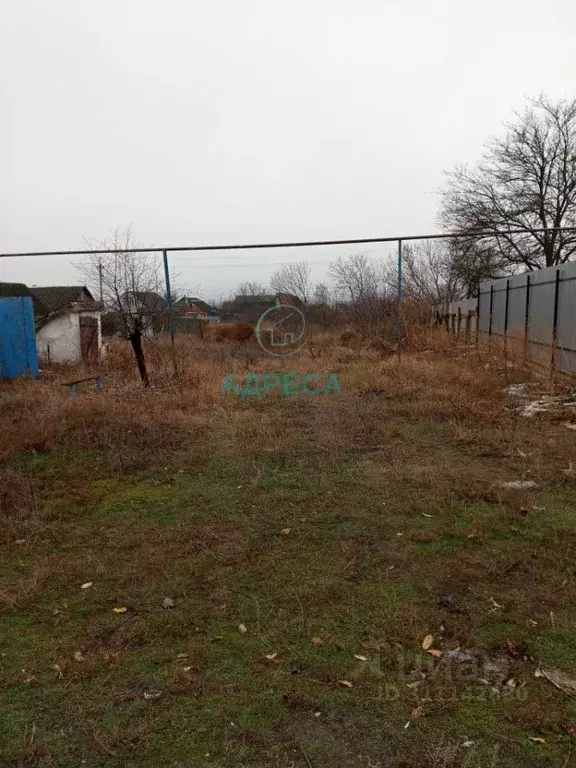 Участок в Белгородская область, Поселок Чернянка городское поселение, ... - Фото 1