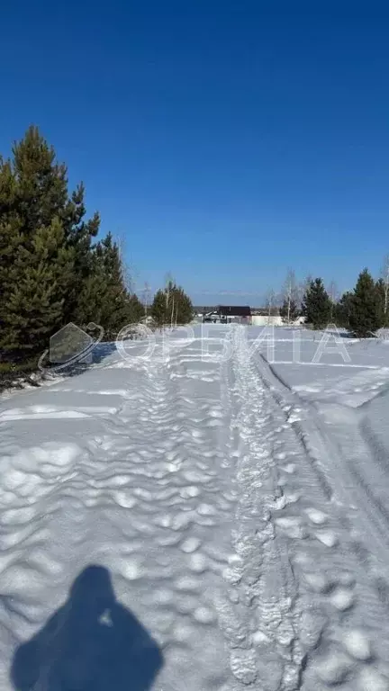 Участок в Тюменская область, Тюмень Царево садовое товарищество, ул. ... - Фото 0