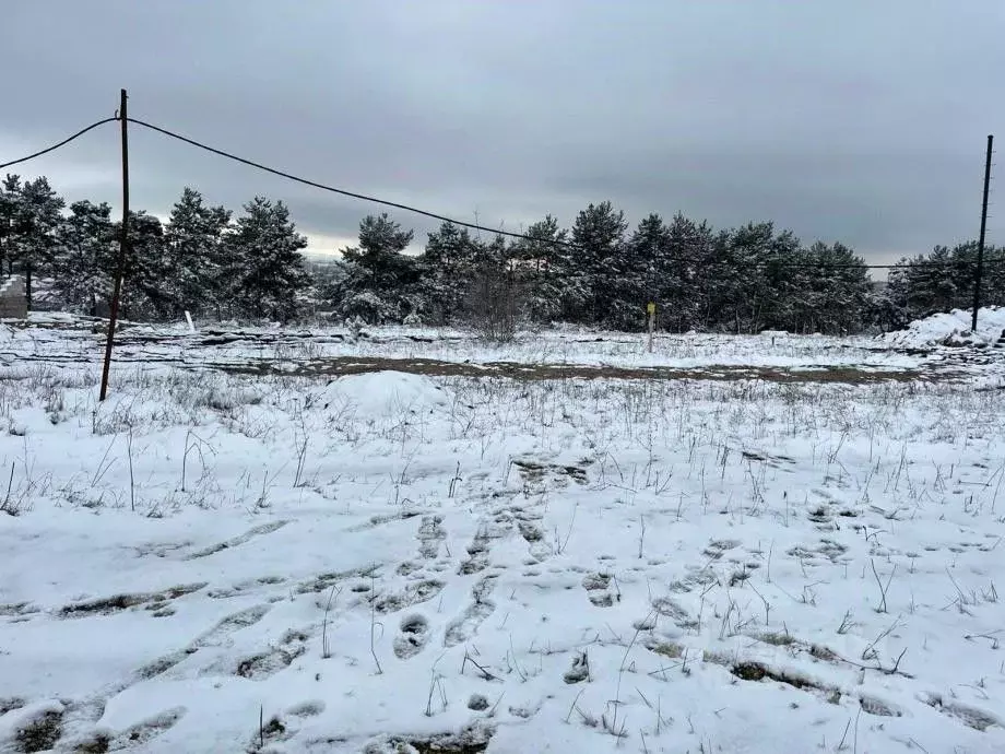 Участок в Крым, Симферопольский район, Трудовское с/пос, Хвойный кп ... - Фото 2