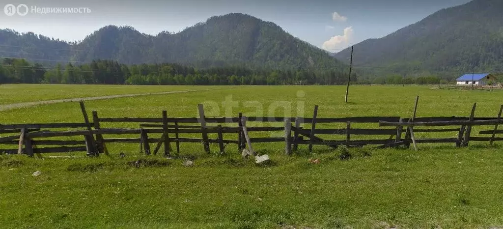 Участок в Чемальский район, село Чепош (13 м) - Фото 1