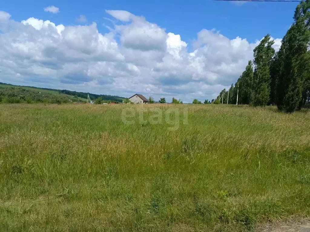 Участок в Белгородская область, Белгородский муниципальный округ, с. ... - Фото 2
