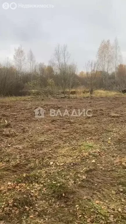 Участок в Московская область, городской округ Электросталь, деревня ... - Фото 2