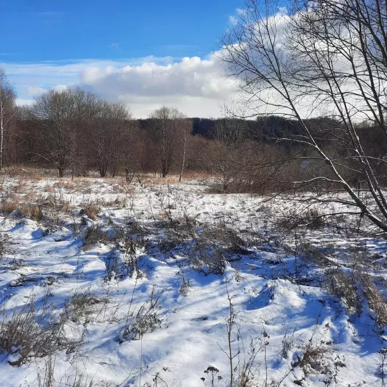 Участок в Московская область, Ступино городской округ, д. Лаптево  ... - Фото 1