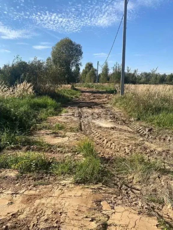 Участок в Ярославская область, Ярославский район, Заволжское с/пос, д. ... - Фото 1