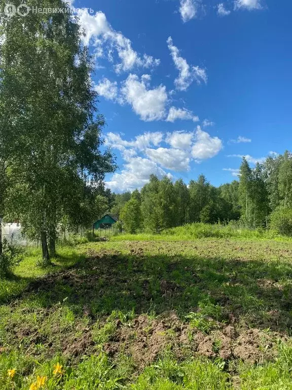 Участок в Бебелевский сельсовет, садоводческое некоммерческое ... - Фото 1