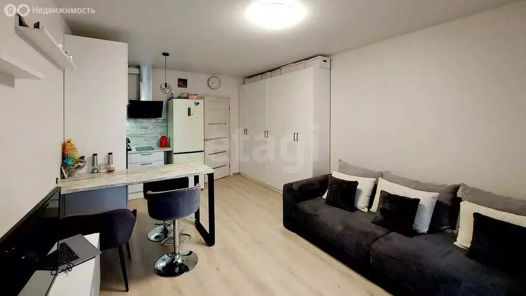 Квартира-студия: Пермь, улица Клары Цеткин, 35 (26.6 м) - Фото 1