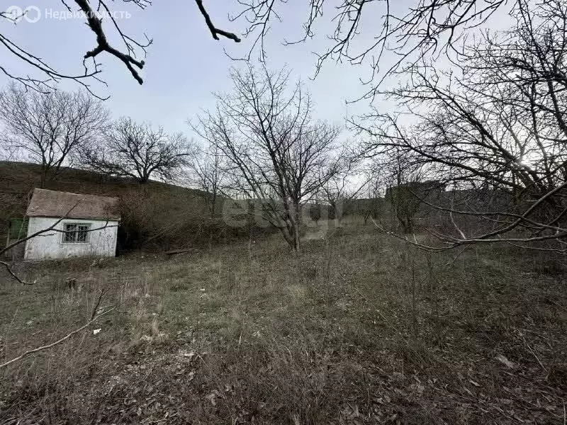 Участок в Новочеркасск, садовое товарищество № 2 АО Магнит (3.7 м) - Фото 1