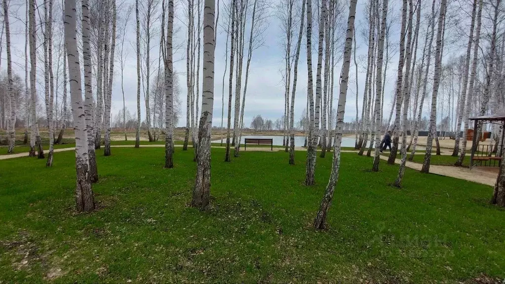 Участок в Тюменская область, Нижнетавдинский район, Тюневское с/пос  ... - Фото 0