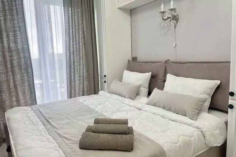 1-к кв. Краснодарский край, Сочи ул. Ленина, 219/6Б (20.0 м) - Фото 2