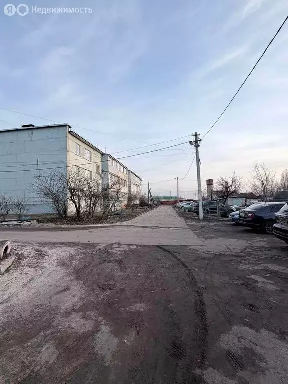 1-комнатная квартира: село Новоживотинное, улица Механизаторов, 20 ... - Фото 2