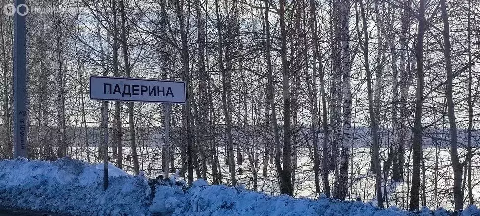 Участок в Тюменский район, деревня Падерина (8 м) - Фото 0