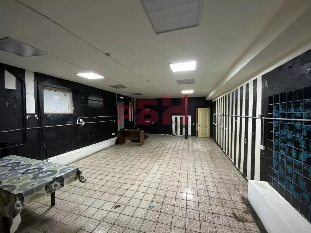 Помещение свободного назначения в Курганская область, Курган Тобольная ... - Фото 1