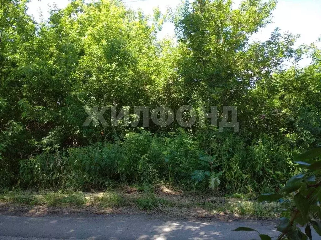 Участок в Новосибирская область, Новосибирский район, Боровской ... - Фото 1