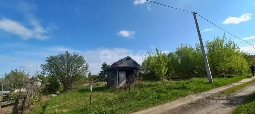 Участок в Хабаровский край, Хабаровский район, Черемушки СНТ  (6.0 ... - Фото 2