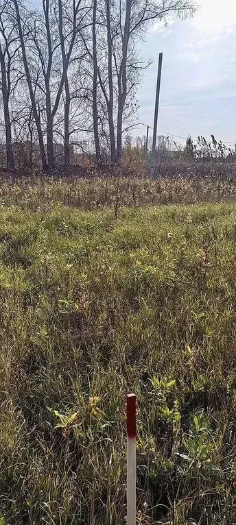 Участок в Тюменская область, Тюмень  (6.5 сот.) - Фото 1