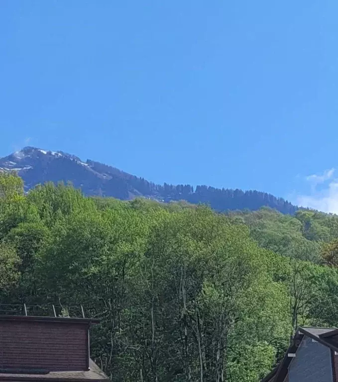 Квартира, студия, 30 м - Фото 0