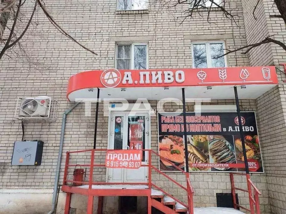 Торговая площадь в Воронежская область, Воронеж Южно-Моравская ул., 60 ... - Фото 1