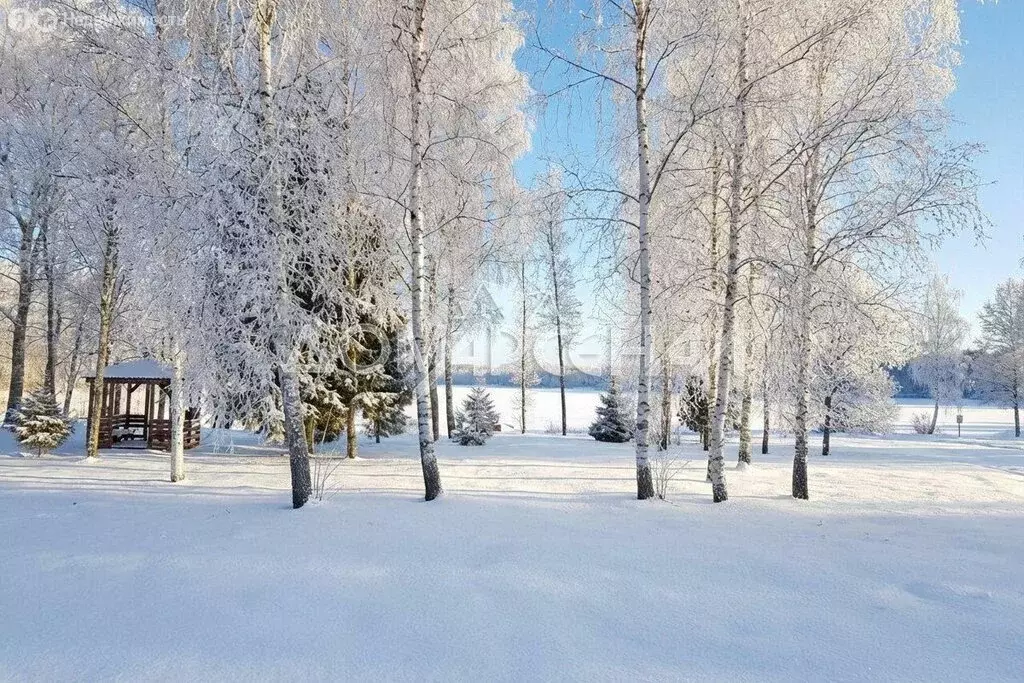 Участок в Тверская область, Конаковский муниципальный округ, ... - Фото 1