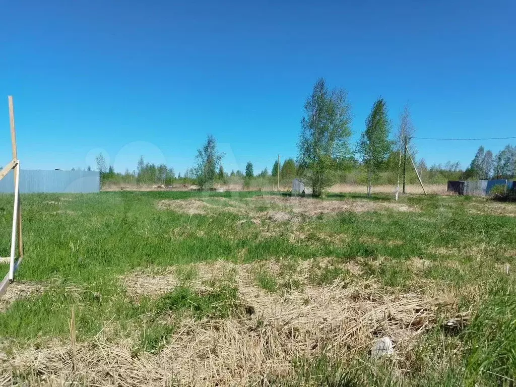 Участок 10 сот. (ИЖС) - Фото 1