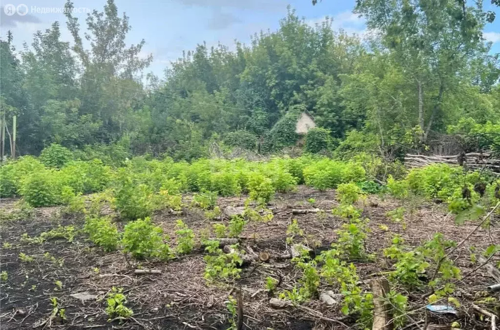 Участок в Давлекановский район, Поляковский сельсовет, село Дружба ... - Фото 1