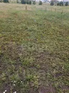 Участок в Липецкая область, Липецкий муниципальный округ, с. Сенцово  ... - Фото 2