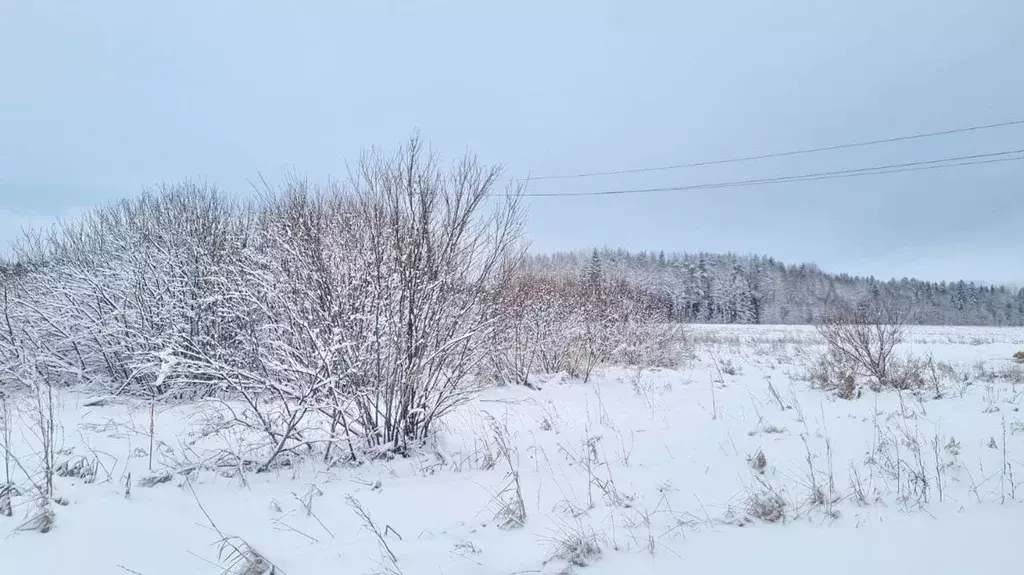 Участок в Санкт-Петербург пос. Левашово, Про Левашово кп,  (12.0 сот.) - Фото 1