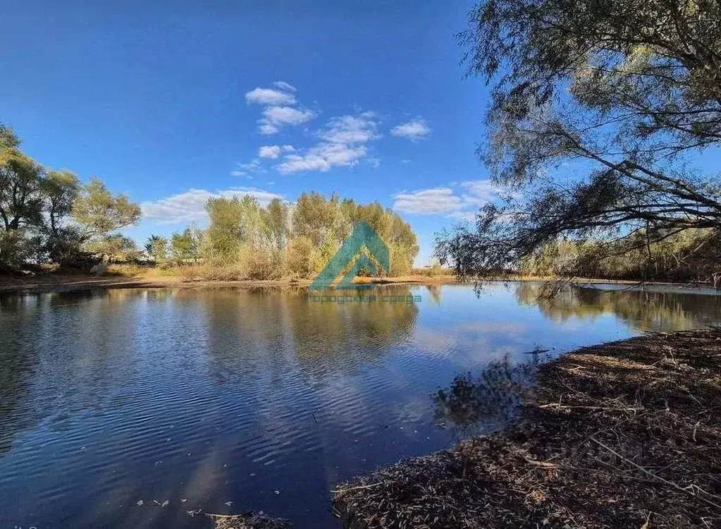 Участок в Оренбургская область, Оренбургский район, Экспериментальный ... - Фото 1