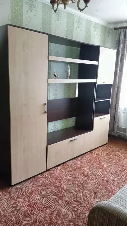 1-к кв. Нижегородская область, Бор ул. Вали Котика, 9 (30.7 м) - Фото 2