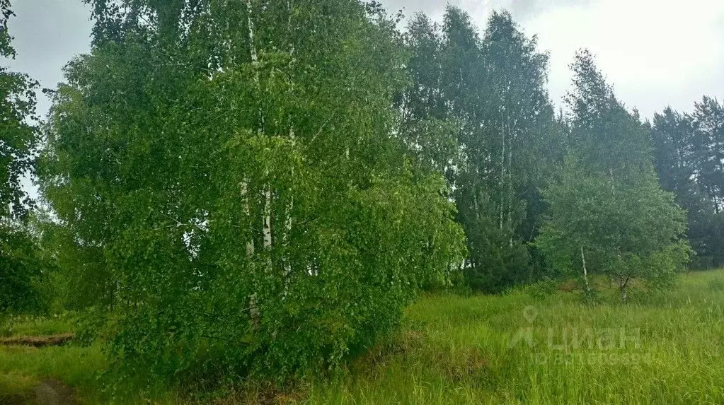 Участок в Московская область, Орехово-Зуевский городской округ, д. ... - Фото 1