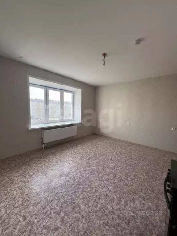 Студия Архангельская область, Котлас ул. Ушинского, 34 (25.8 м) - Фото 1