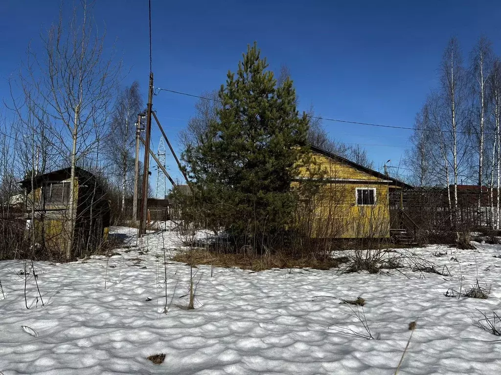 Участок в Ленинградская область, Всеволожский район, Морозовское ... - Фото 1