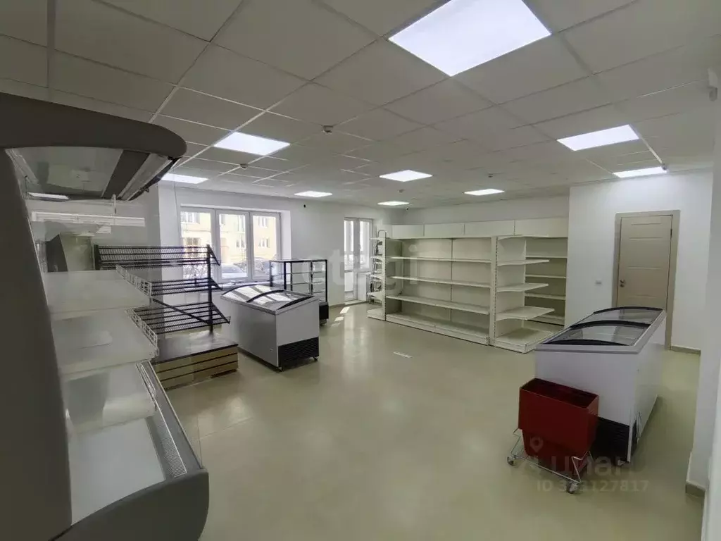 Торговая площадь в Калининградская область, Калининград Осенняя ул., ... - Фото 1