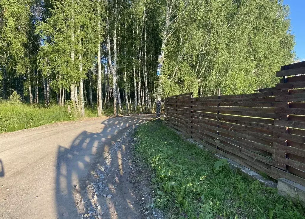 Участок в Новосибирская область, Мошковский район, Индия кп, ... - Фото 1