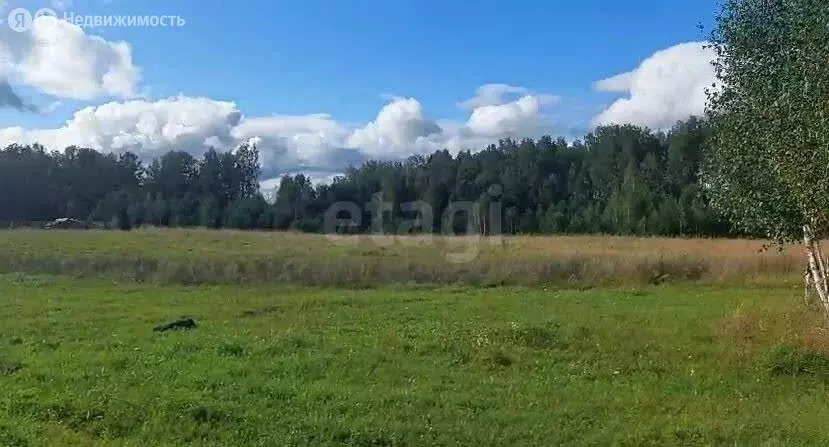 Участок в Томский район, Зоркальцевское сельское поселение, село ... - Фото 2