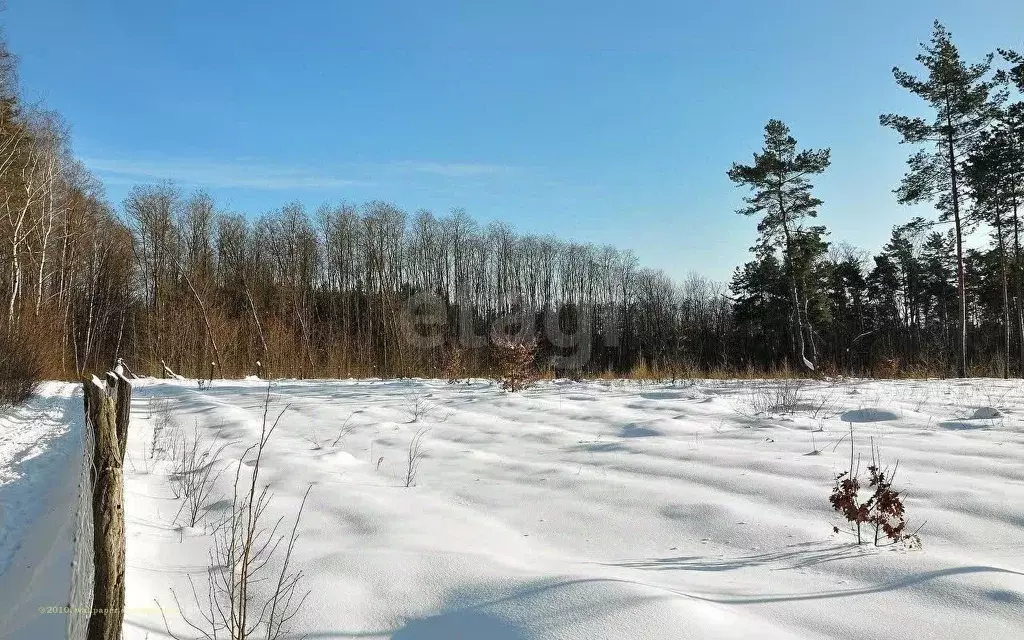 Участок в Татарстан, Верхнеуслонский район, с. Нижний Услон  (12.0 ... - Фото 0