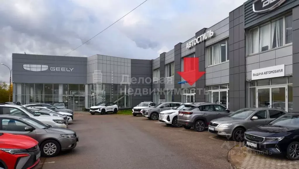 Помещение свободного назначения в Новгородская область, Великий ... - Фото 2